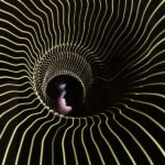 black and white zebra pattern