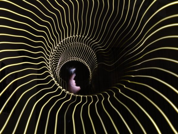 black and white zebra pattern